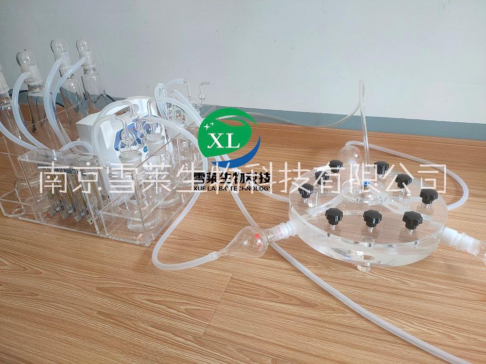 Y型嗅覺(jué)儀XLM3-300 廠家圖片/Y型嗅覺(jué)儀XLM3-300 廠家樣板圖 (1)