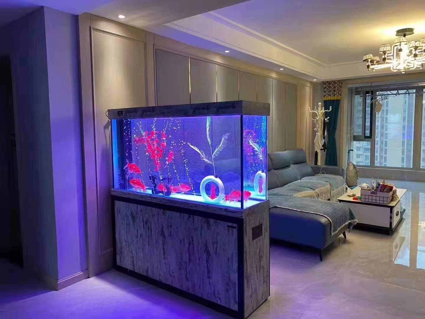 廣東珠海護(hù)理魚(yú)缸服務(wù)- 魚(yú)缸清洗價(jià)格-聯(lián)系電話(huà)