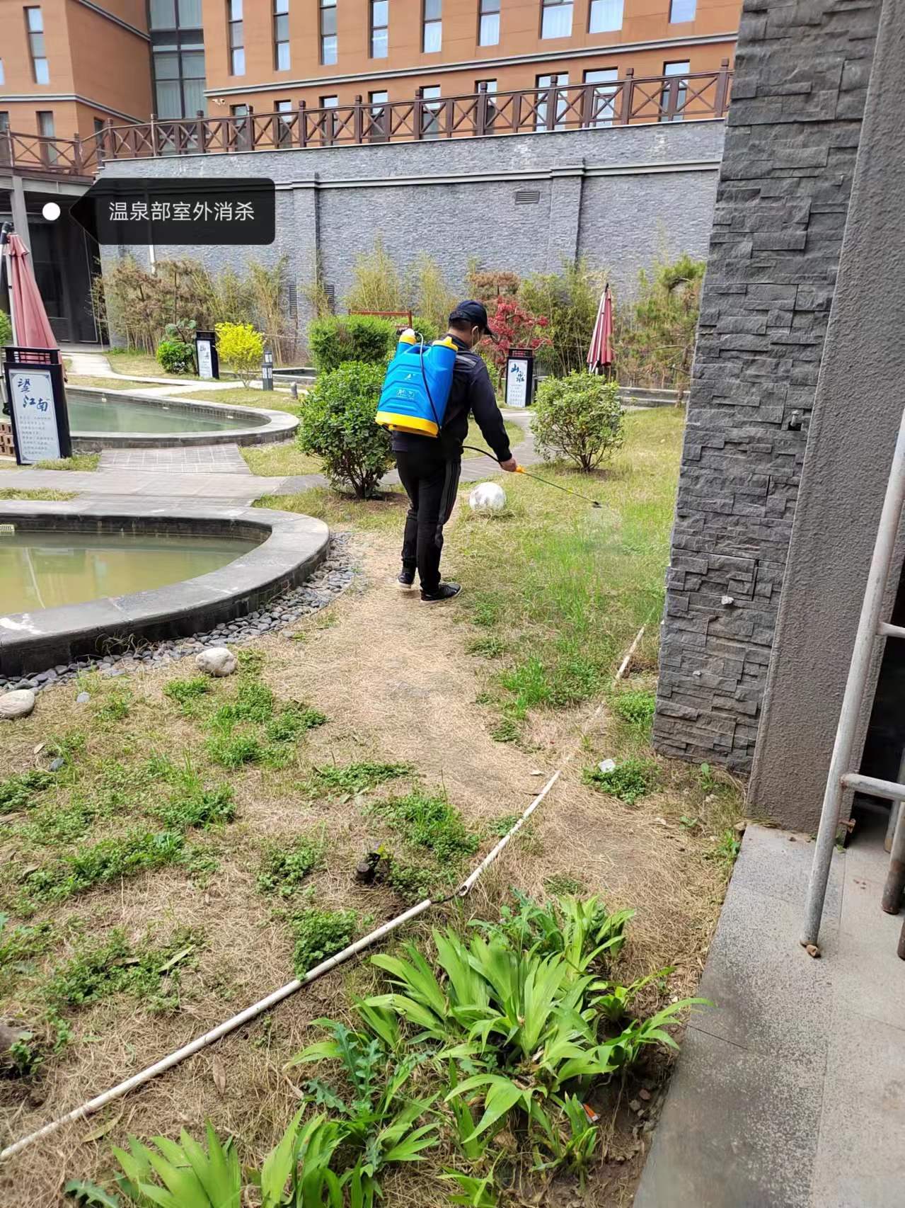 西安四害消殺 西安滅鼠 滅蟑螂  西安滅蚊蠅  油煙機清洗