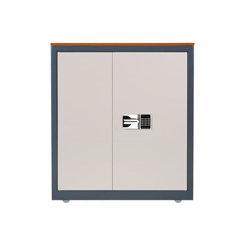 廣東保密柜廠家 虹保保密柜商用保密文件柜 財務(wù)辦公室檔案資料柜 M103-YE1