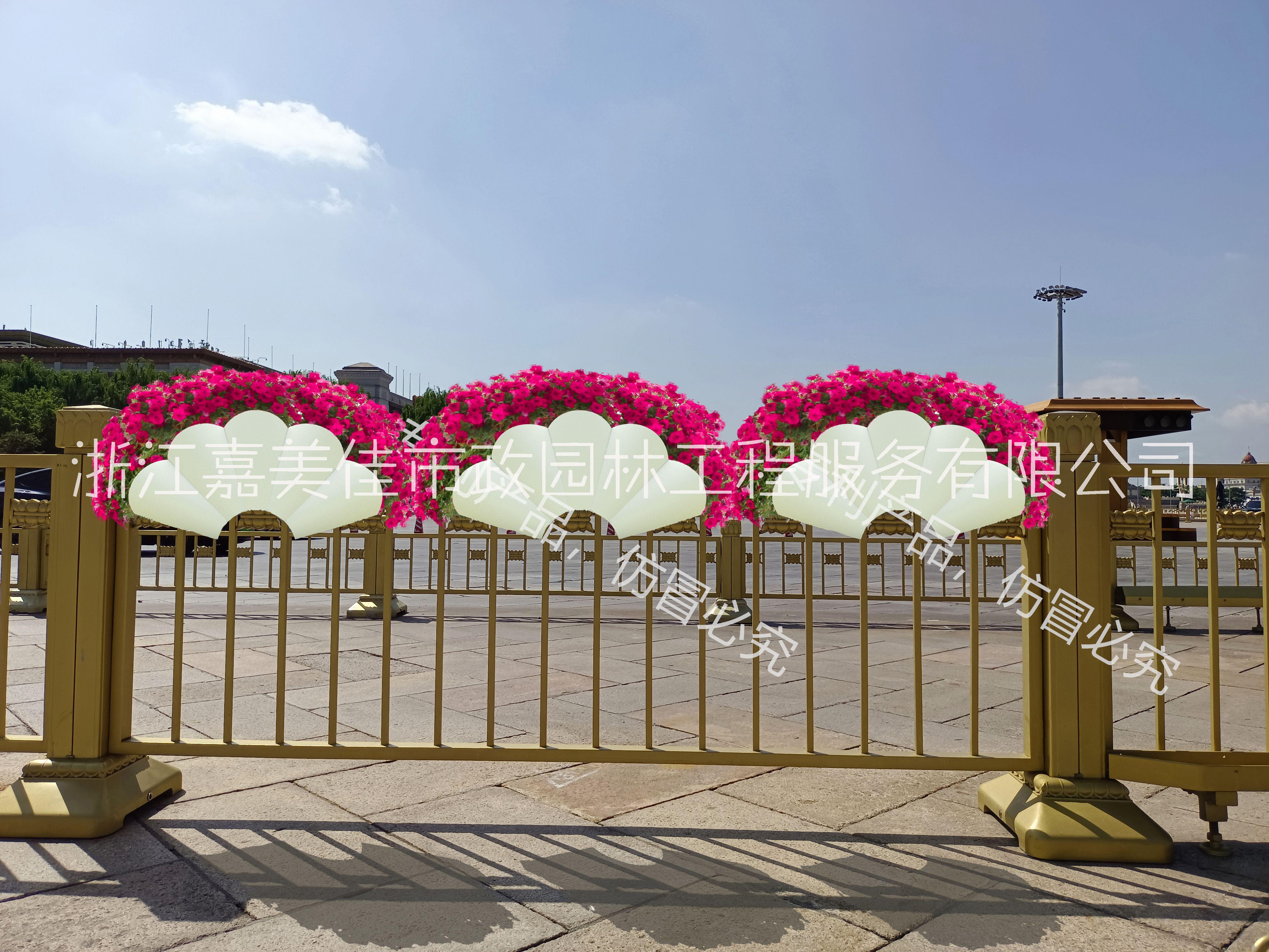 馬鞍花盆圖片/馬鞍花盆樣板圖 (3)