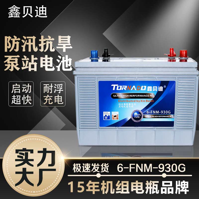 鑫貝發(fā)電機(jī)組蓄電池6-FNM-930G