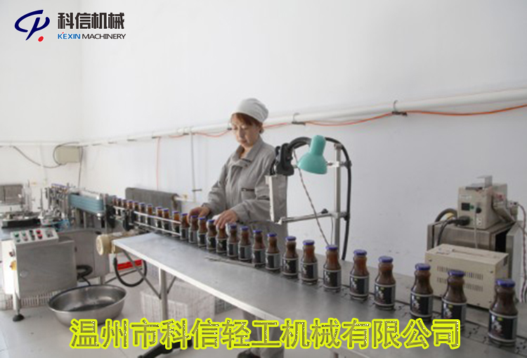 中小型木耳飲料生產(chǎn)設(shè)備小型流水線設(shè)備