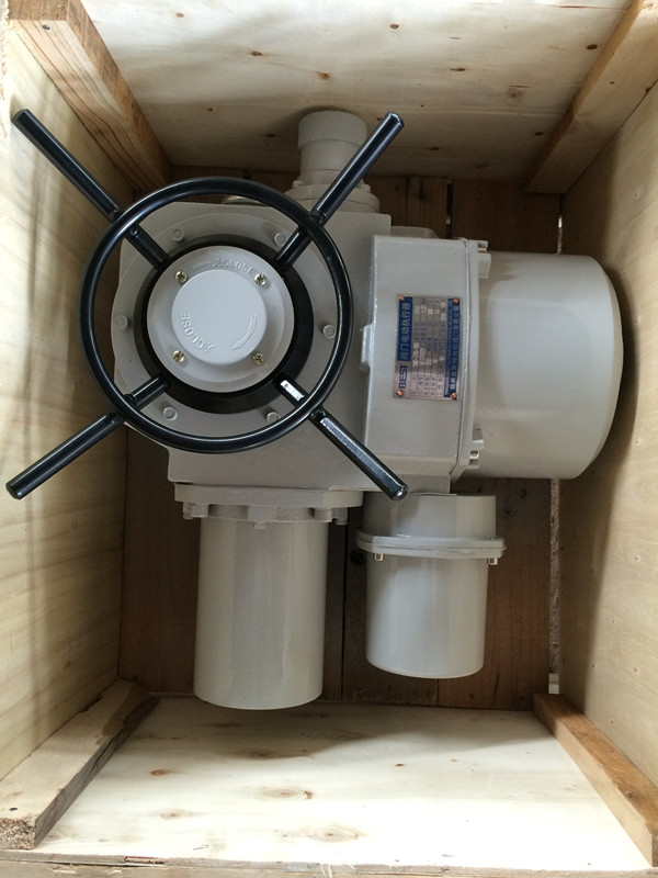 DZW90-24-A00-DS1電動執(zhí)行器