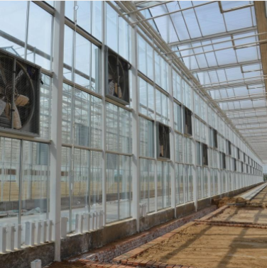玻璃溫室圖片/玻璃溫室樣板圖 (3)
