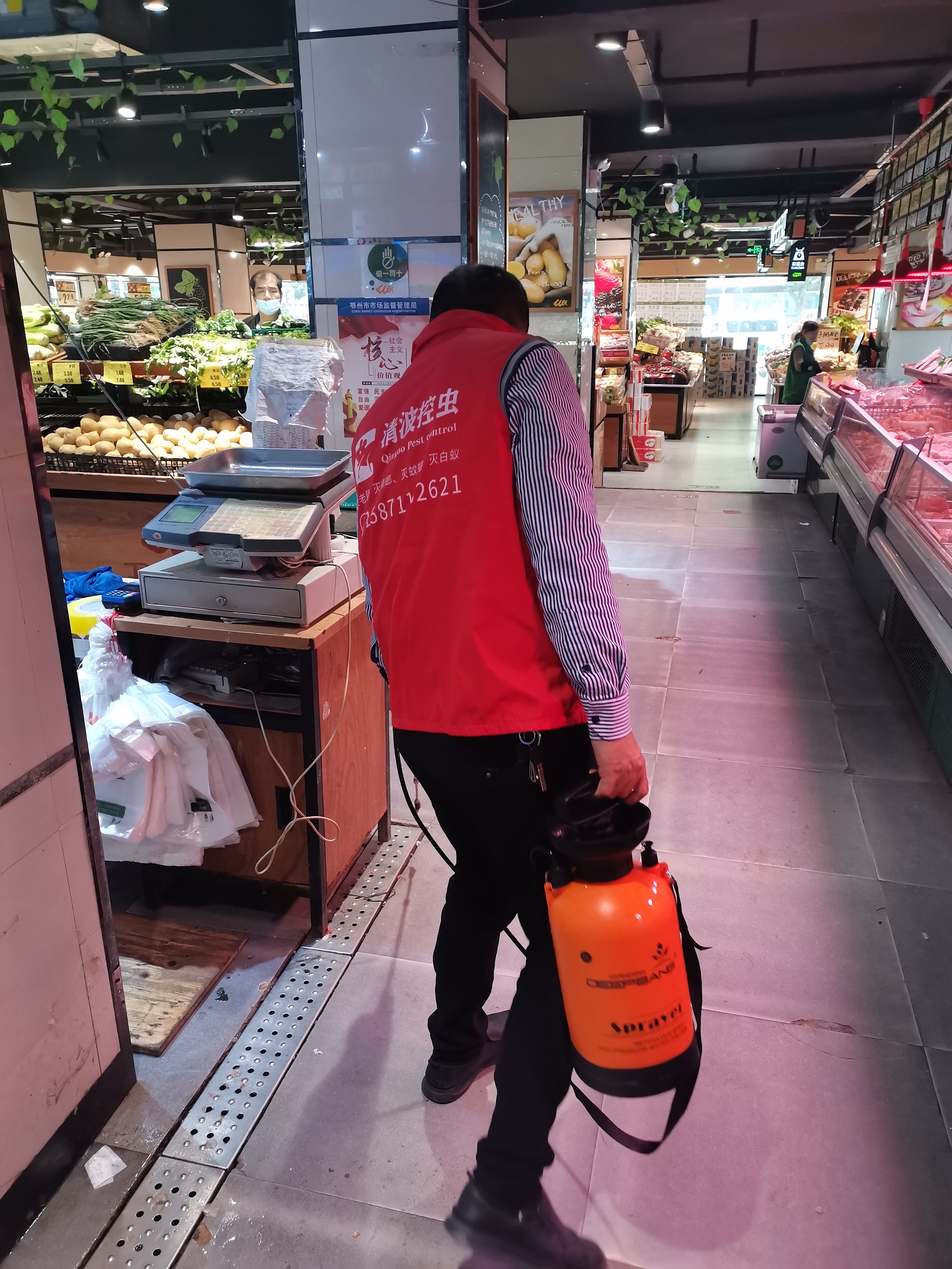 滅老鼠滅蟑螂圖片/滅老鼠滅蟑螂樣板圖 (2)