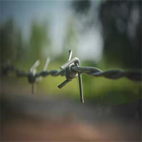 涂塑帶刺鐵絲圖片/涂塑帶刺鐵絲樣板圖 (2)