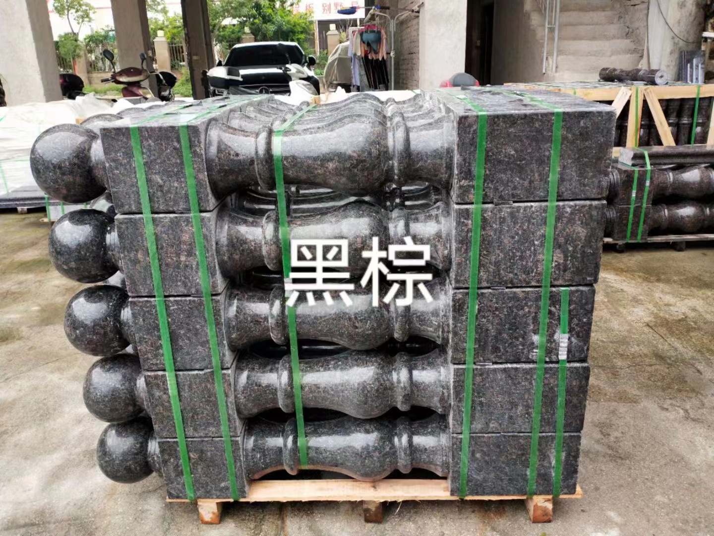 黑棕將軍柱圖片/黑棕將軍柱樣板圖 (4)