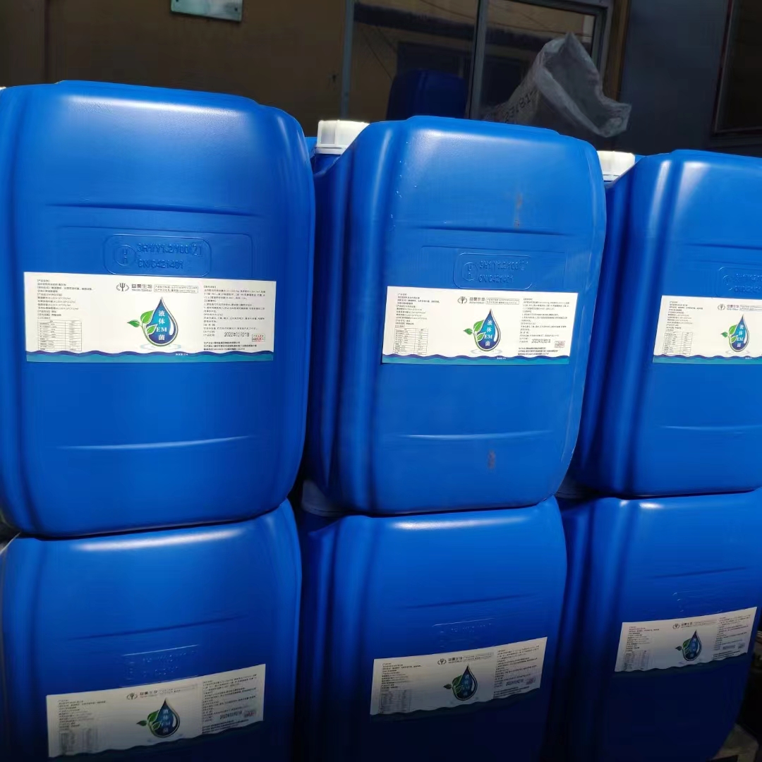 液體丁酸梭菌圖片/液體丁酸梭菌樣板圖 (4)