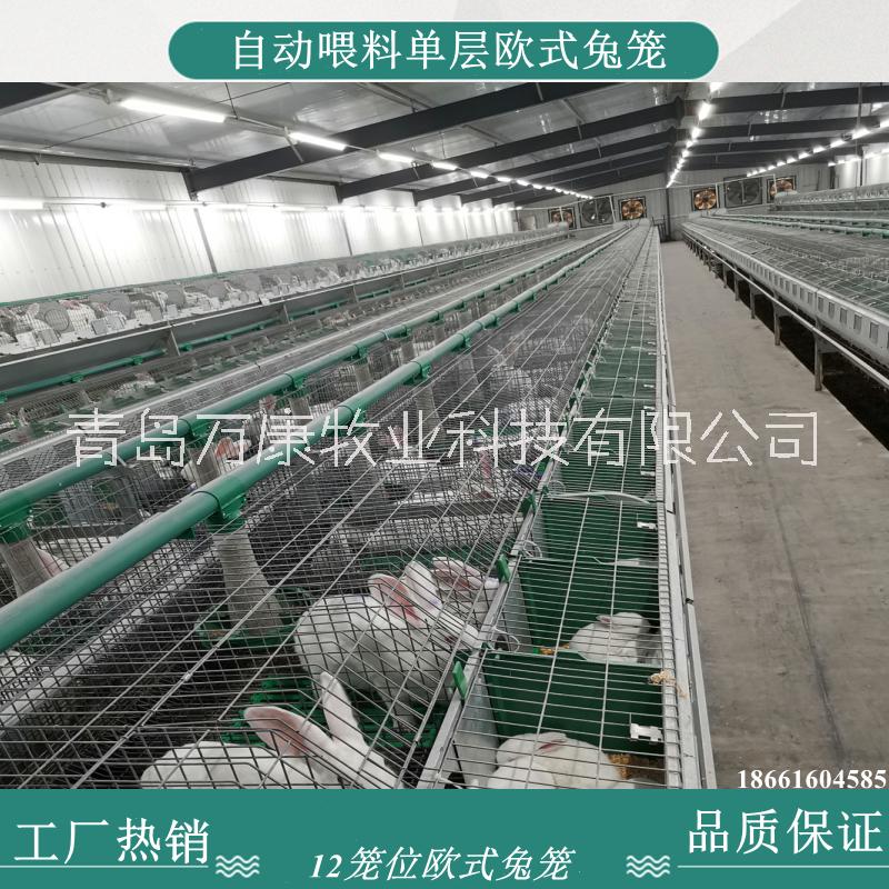 兔子籠子肉兔種兔養(yǎng)殖籠 兔籠批發(fā)歐式自動喂料籠具