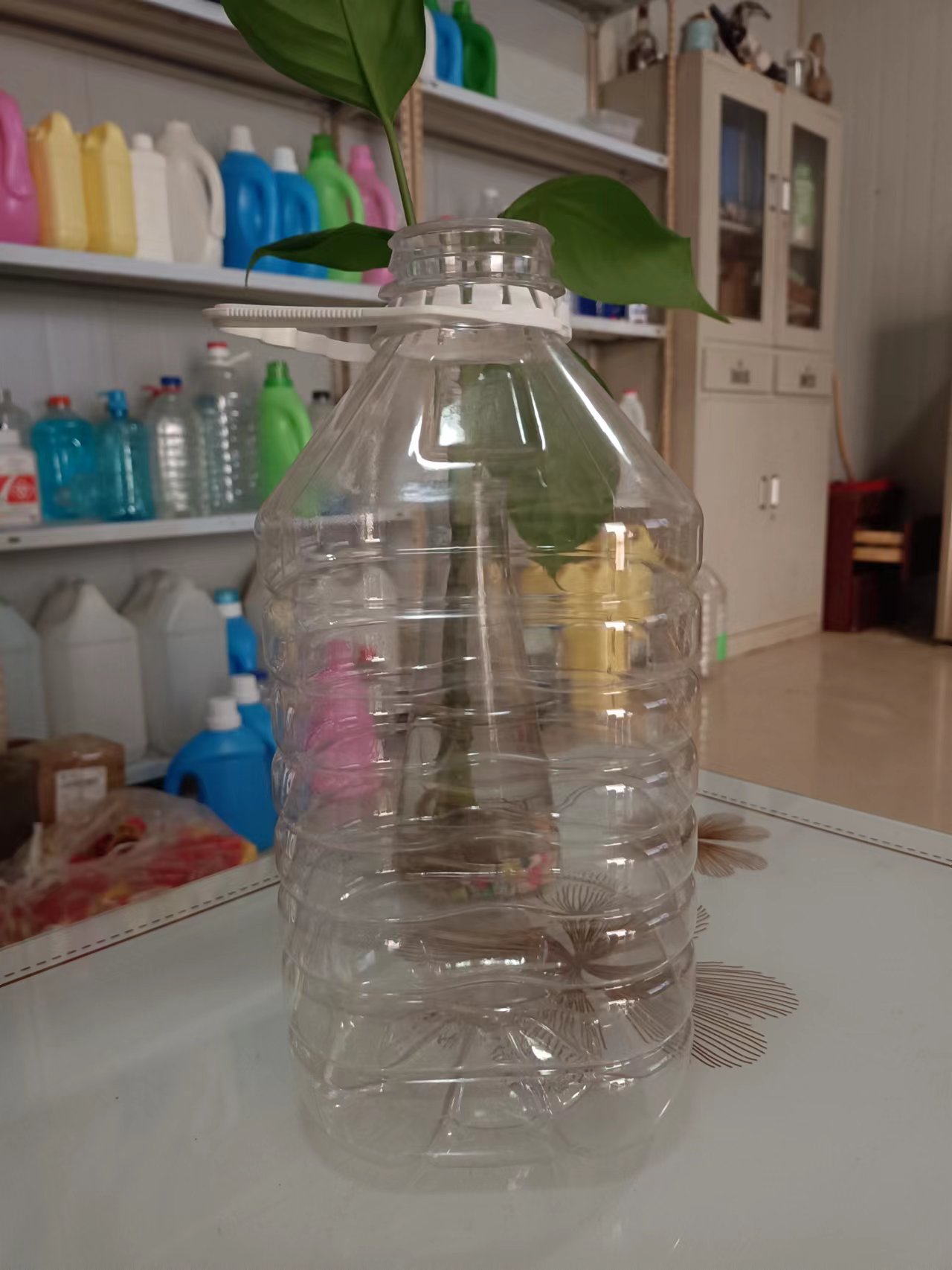 湖北襄樊市1L飲料瓶廠家圖片/湖北襄樊市1L飲料瓶廠家樣板圖 (3)