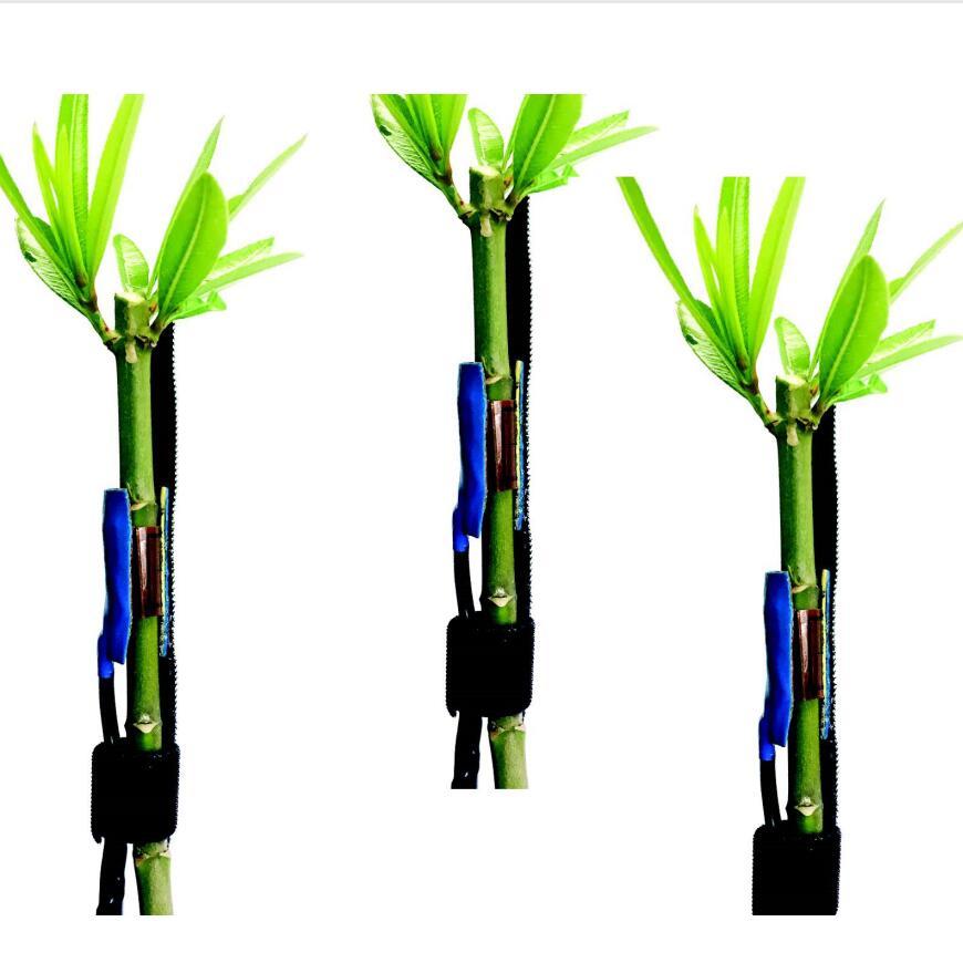 SGDC包裹式莖流傳感器圖片