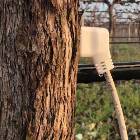 HPV-06 植物莖流傳感器圖片