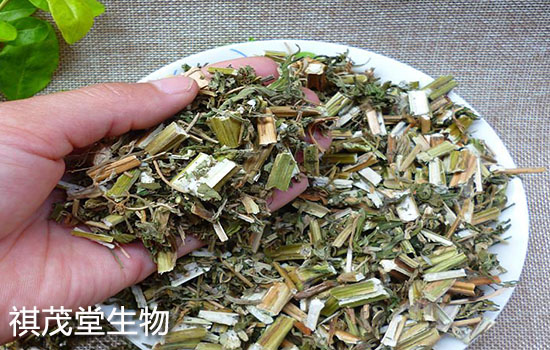 益母草提取物圖片/益母草提取物樣板圖 (4)