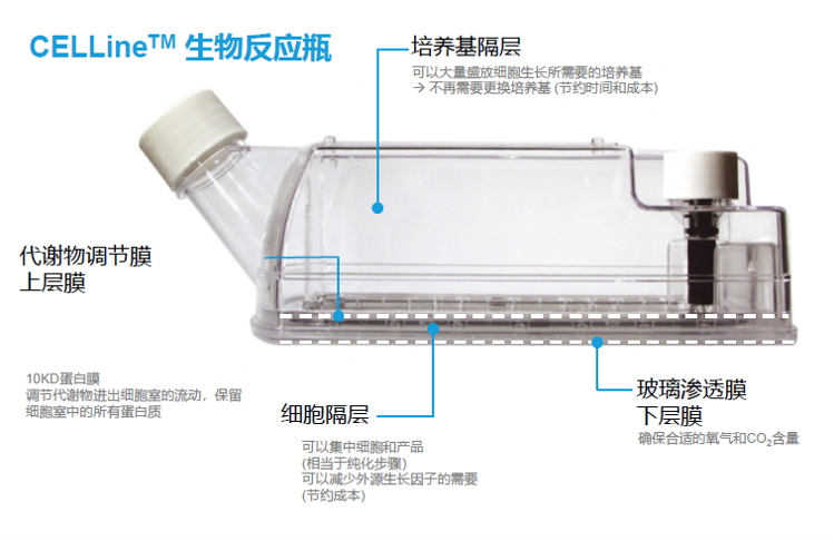 Antylia 細(xì)胞培養(yǎng)瓶