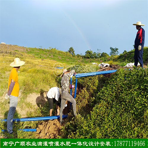 農(nóng)業(yè)灌溉圖片/農(nóng)業(yè)灌溉樣板圖 (2)