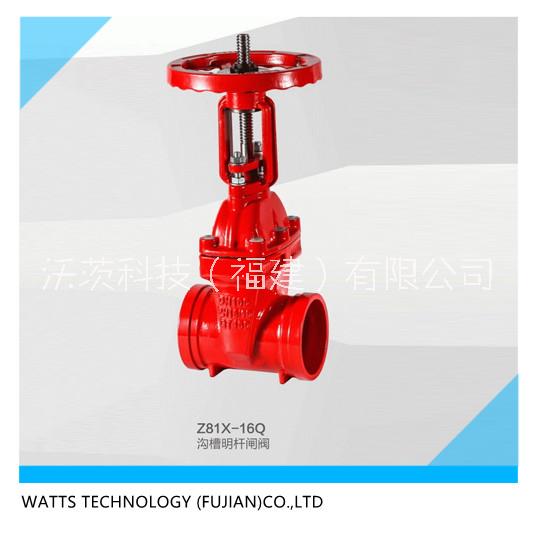 沃茨閥門消防溝槽暗桿明桿閘閥圖片/沃茨閥門消防溝槽暗桿明桿閘閥樣板圖 (2)