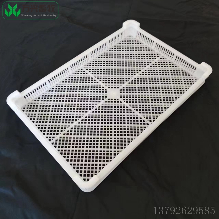 單凍盤圖片/單凍盤樣板圖 (1)