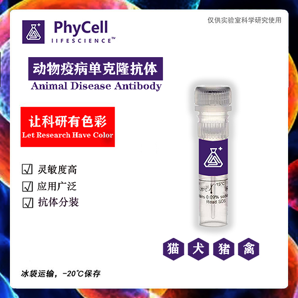 蛋白抗原圖片/蛋白抗原樣板圖 (3)