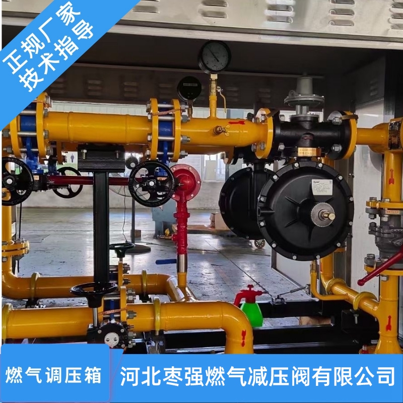 燃?xì)庹{(diào)壓箱圖片/燃?xì)庹{(diào)壓箱樣板圖 (3)