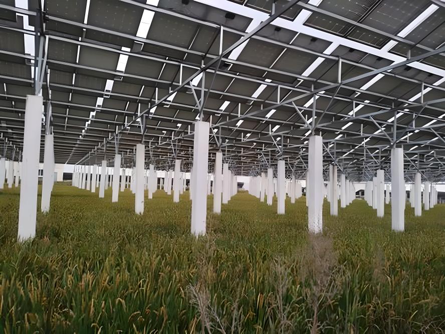 發(fā)電站圖片/發(fā)電站樣板圖 (2)