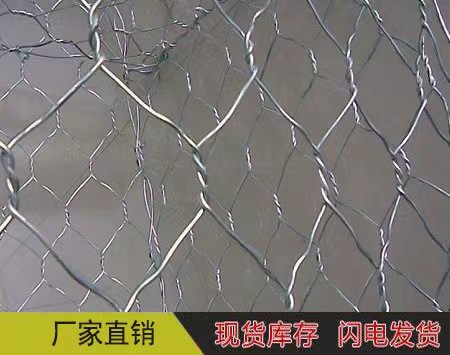 護坡網(wǎng)圖片