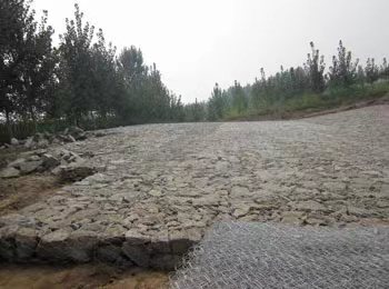 雷諾護(hù)墊圖片/雷諾護(hù)墊樣板圖 (4)