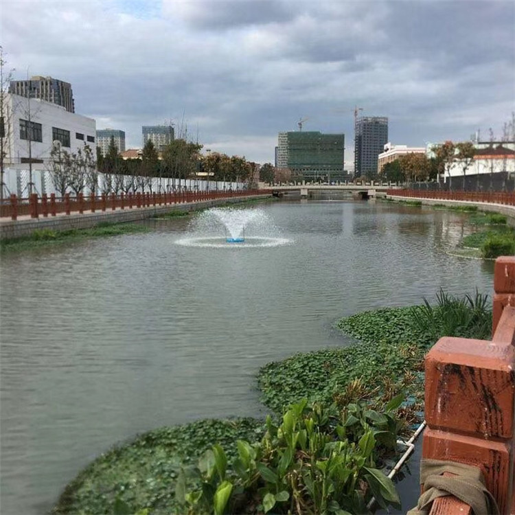 噴泉曝氣機(jī)圖片/噴泉曝氣機(jī)樣板圖 (3)