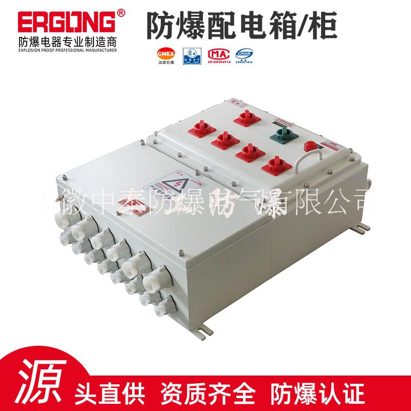隔爆型防爆照明箱防爆動力檢修箱防爆配電箱圖片/隔爆型防爆照明箱防爆動力檢修箱防爆配電箱樣板圖 (3)