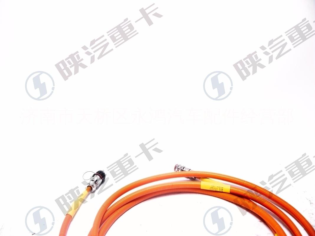 陜汽電動車DZ96319781406雙芯高壓線圖片/陜汽電動車DZ96319781406雙芯高壓線樣板圖 (2)