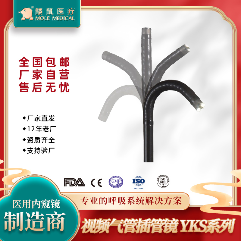 電子支氣管鏡YKS系列圖片/電子支氣管鏡YKS系列樣板圖 (4)
