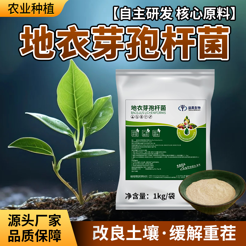 地衣芽孢杆菌100-2000亿CFU/G 农业微生物菌肥 益昊生物厂家OEM贴牌代工定制图片