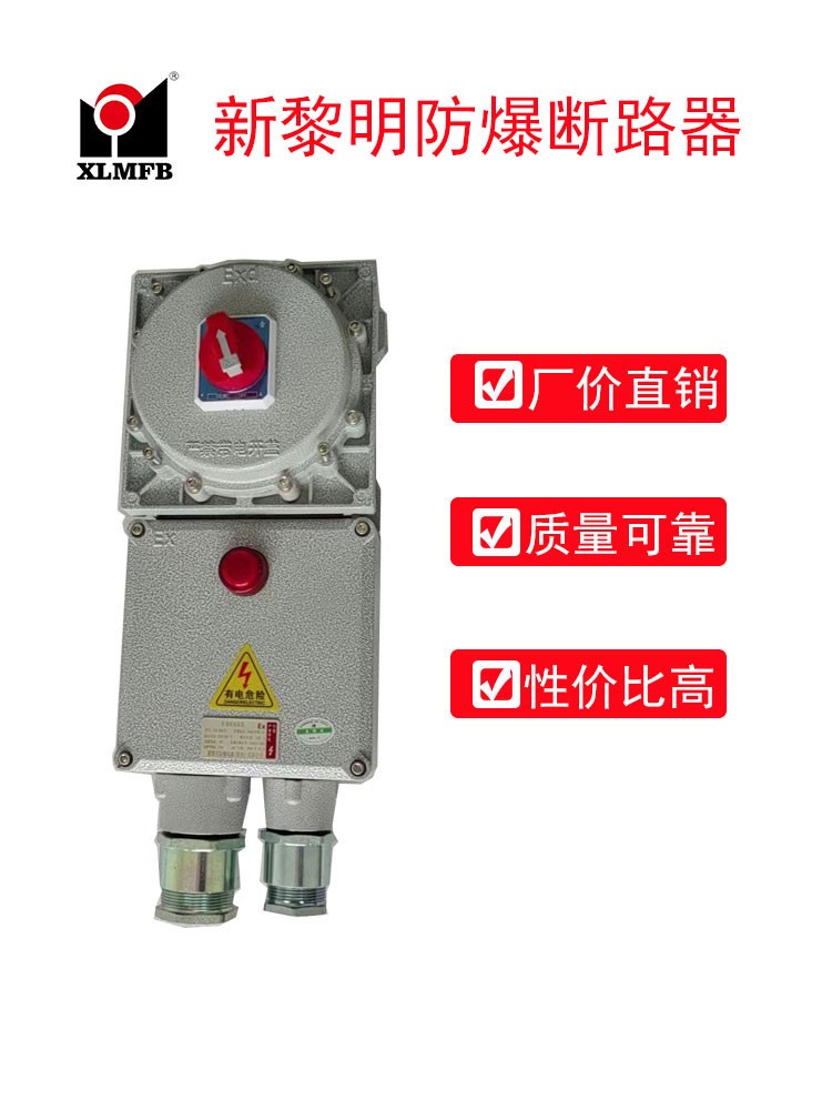 防爆断路器IIB、IIC级BDZ52系列、图片