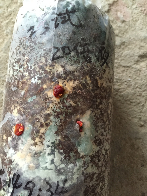 供應鏈孢霉*殺菌劑，索霉特，鏈孢霉*殺菌劑