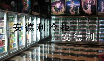 供應(yīng)超市立式飲料冰柜款式