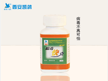 供應(yīng)用于鴿子病的凱鴿鴿藥【瘟毒快克】500g/瓶