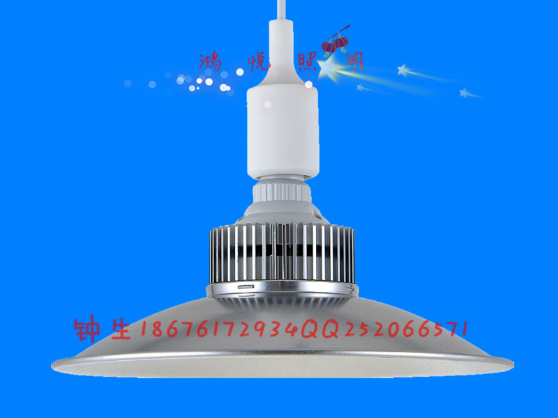 供應(yīng)用于30w的節(jié)能生鮮燈30w超市水果LED生鮮燈20w價格超市海鮮LED燈