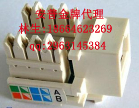 供應(yīng)安普水晶頭官網(wǎng)降價(jià)銷售/安普水晶頭官網(wǎng)正品/安普水晶頭官網(wǎng)直銷