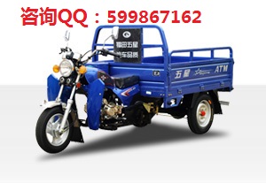 供應(yīng)福田五星太子110ZH/ZC三輪摩托車 輪胎