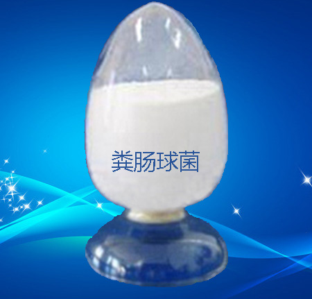 供應用于凈化水質|制作飼料的乳酸糞鏈球菌，菌含量足活菌強產(chǎn)酸率高，包被乳酸菌糞腸球菌糞鏈球菌