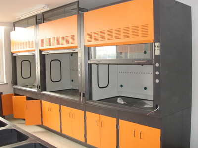 供應(yīng)深圳通風(fēng)櫥制作廠家  深圳通風(fēng)櫥設(shè)計(jì)定做 深圳實(shí)驗(yàn)通風(fēng)櫥報(bào)價(jià)