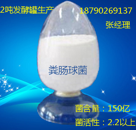 供應用于凈化水質|制作飼料的乳酸糞鏈球菌，菌含量足活菌強產(chǎn)酸率高，包被乳酸菌糞腸球菌糞鏈球菌