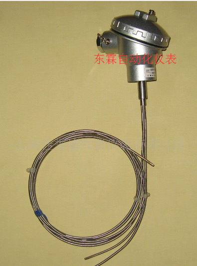 供應(yīng)裝配式熱電偶WRN-1301A