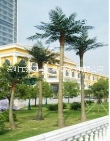 供應(yīng)仿真椰子樹(shù)  椰子樹(shù)廠家制作