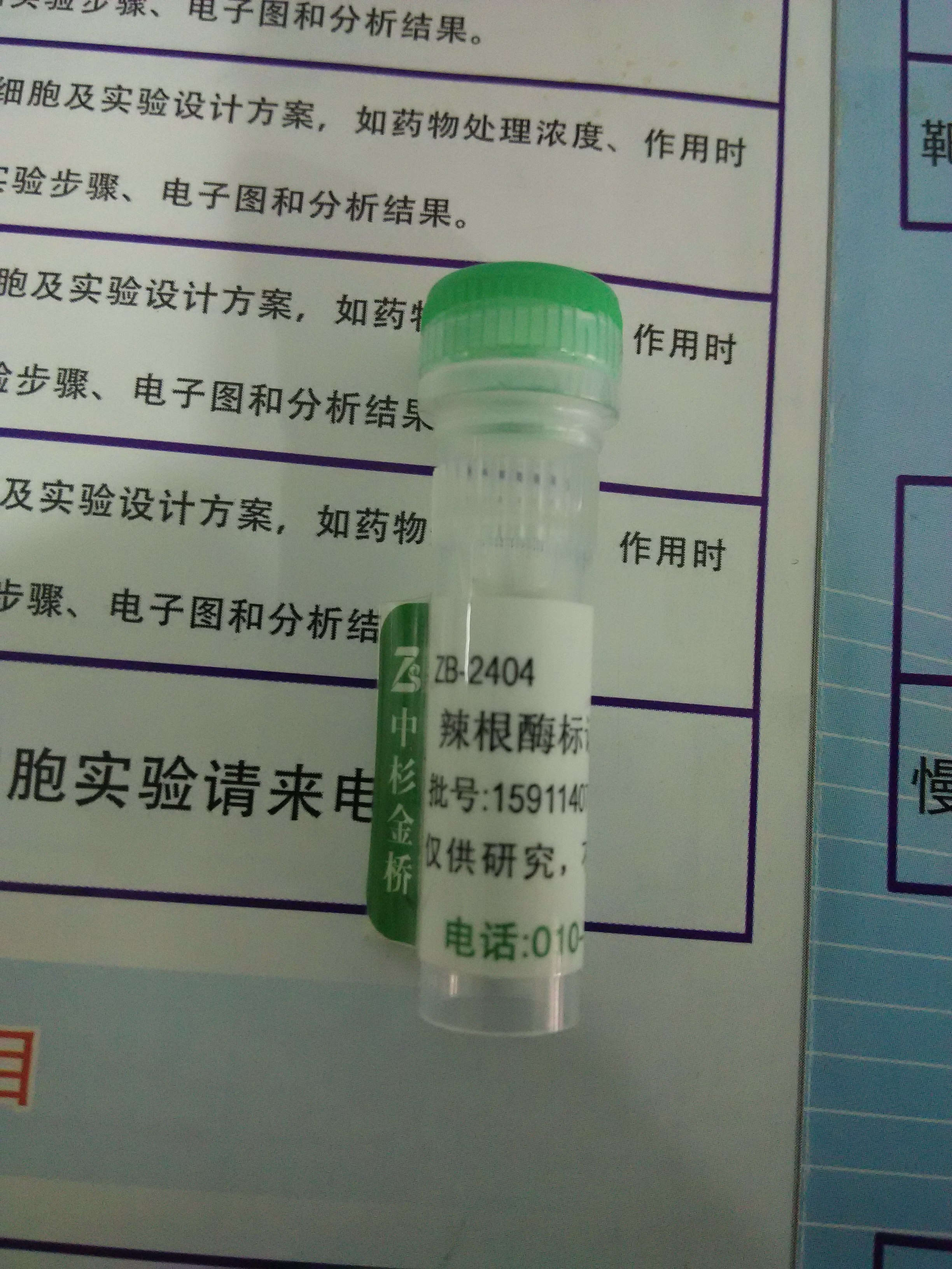 供應(yīng)辣根酶標記鏈親合素 中杉金橋 ZB-2404