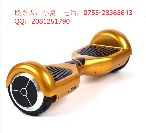 電動(dòng)平衡車(chē)智能平衡車(chē)平衡扭扭車(chē)全國(guó)招商代理
