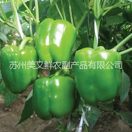 供應(yīng)蘇州蔬菜配送哪家好？吳江蔬菜配送，南環(huán)橋蔬菜配送公司，蘇州哪里有蔬菜配送