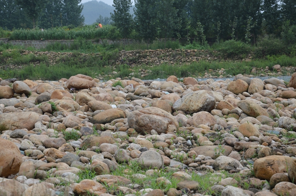 河南河石鵝卵石水沖石密度