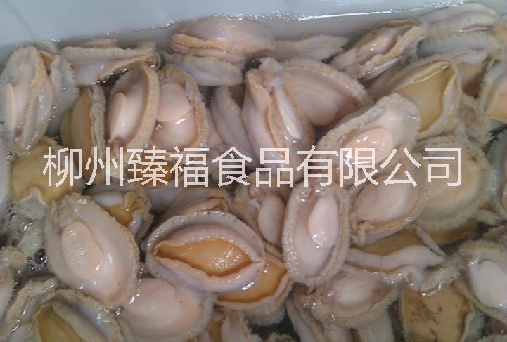 供應(yīng)用于批發(fā)的冷凍帶魚 冷凍帶魚批發(fā)廠家 冷凍帶魚批發(fā)價(jià)格 供應(yīng)冷凍魷魚 冷凍鮑魚 冷凍海參 冷凍海蝦 冷凍水產(chǎn)品批發(fā)