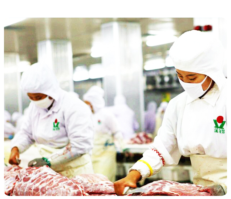 供應(yīng)用于適合紅燒煲湯糖醋油炸清蒸的上海冷鮮肋排批發(fā)